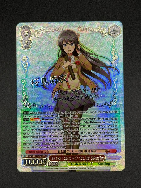 (EN) The Year I Spent With You, Mai Sakurajima (ABR)